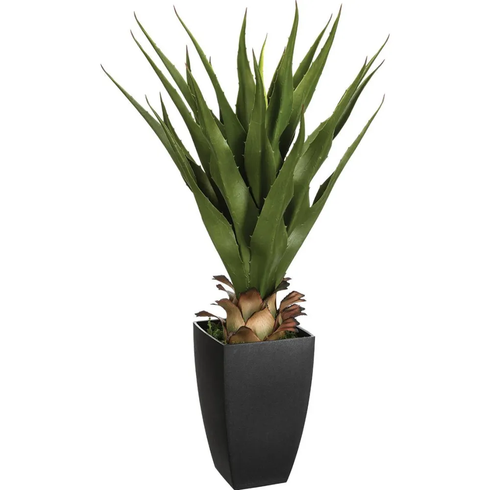 Atmosphera Agave Pot Rectangle H.73Cm- Fleurs Et Plantes En Pot