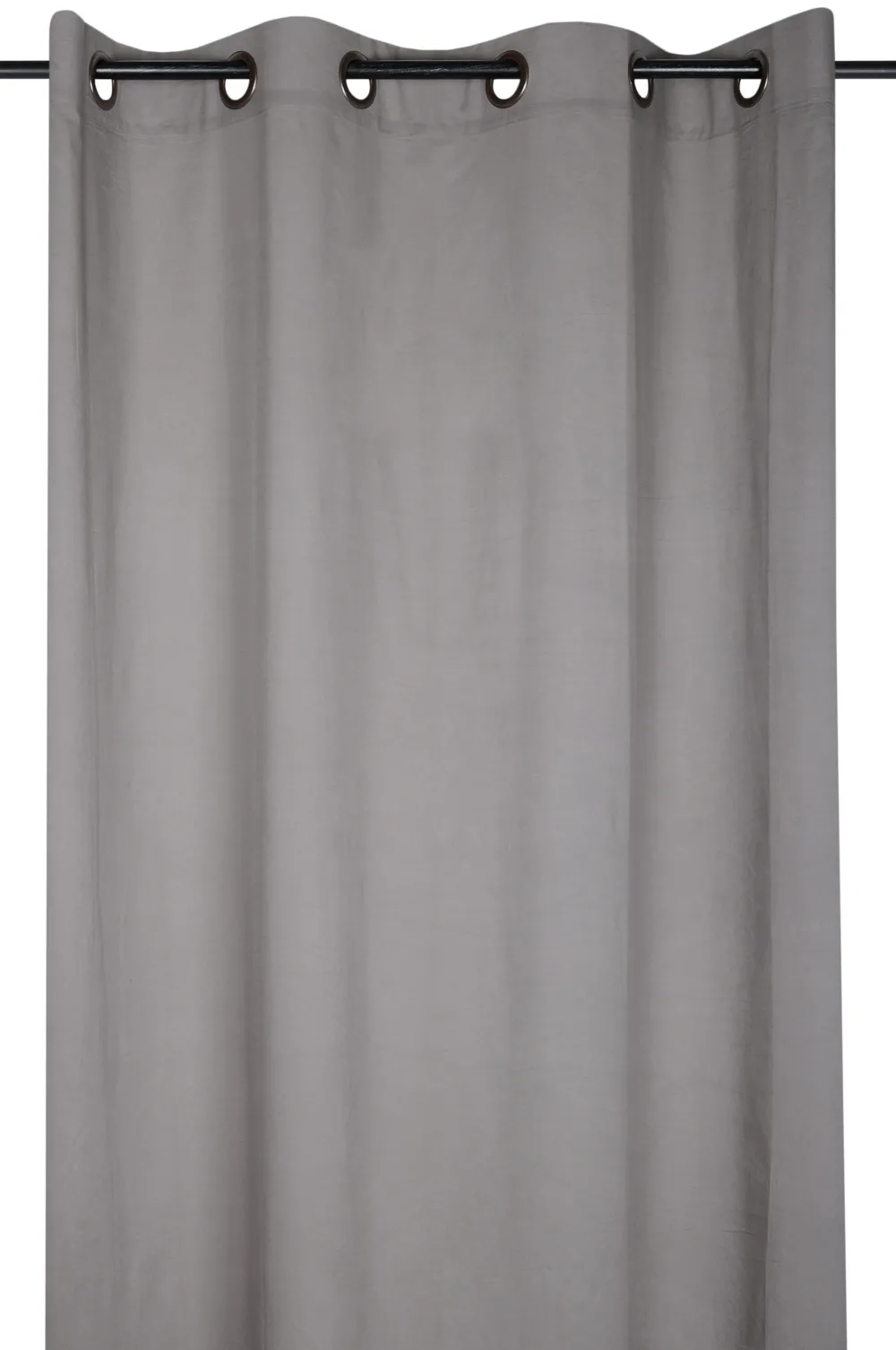 maxibazar Aube Voile 140X260 Oeil Taupe- Thematiques