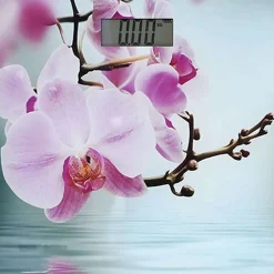 Pese-Personne|* Balance Electronique Stella