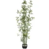 Atmosphera Bambou Pot Ceramique H.180Cm- Arbres