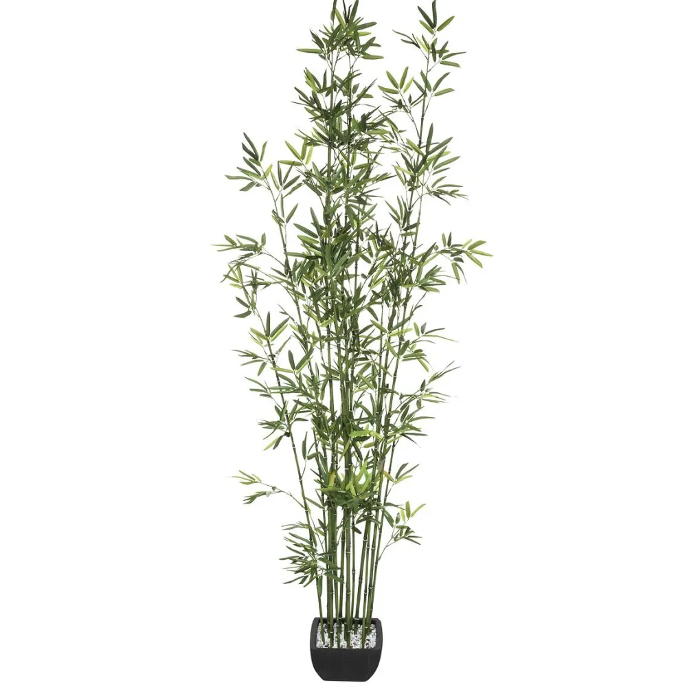 Atmosphera Bambou Pot Ceramique H.180Cm- Arbres