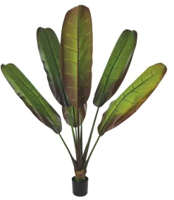 maxibazar Bananier 6 Feuilles Pot H.160Cm- Fleurs Et Plantes En Pot