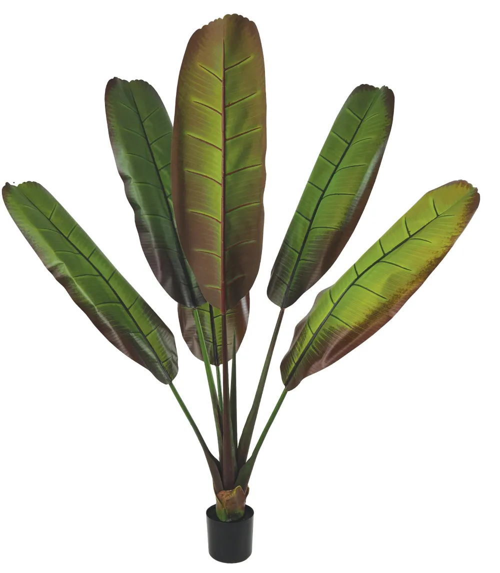 maxibazar Bananier 6 Feuilles Pot H.160Cm- Fleurs Et Plantes En Pot