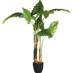 Atmosphera Bananier En Pot H.120Cm- Arbres