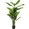 Atmosphera Bananier H.170Cm- Arbres