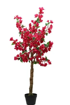 maxibazar Bougainvillier Pot Plastique H.130Cm- Fleurs Et Plantes En Pot