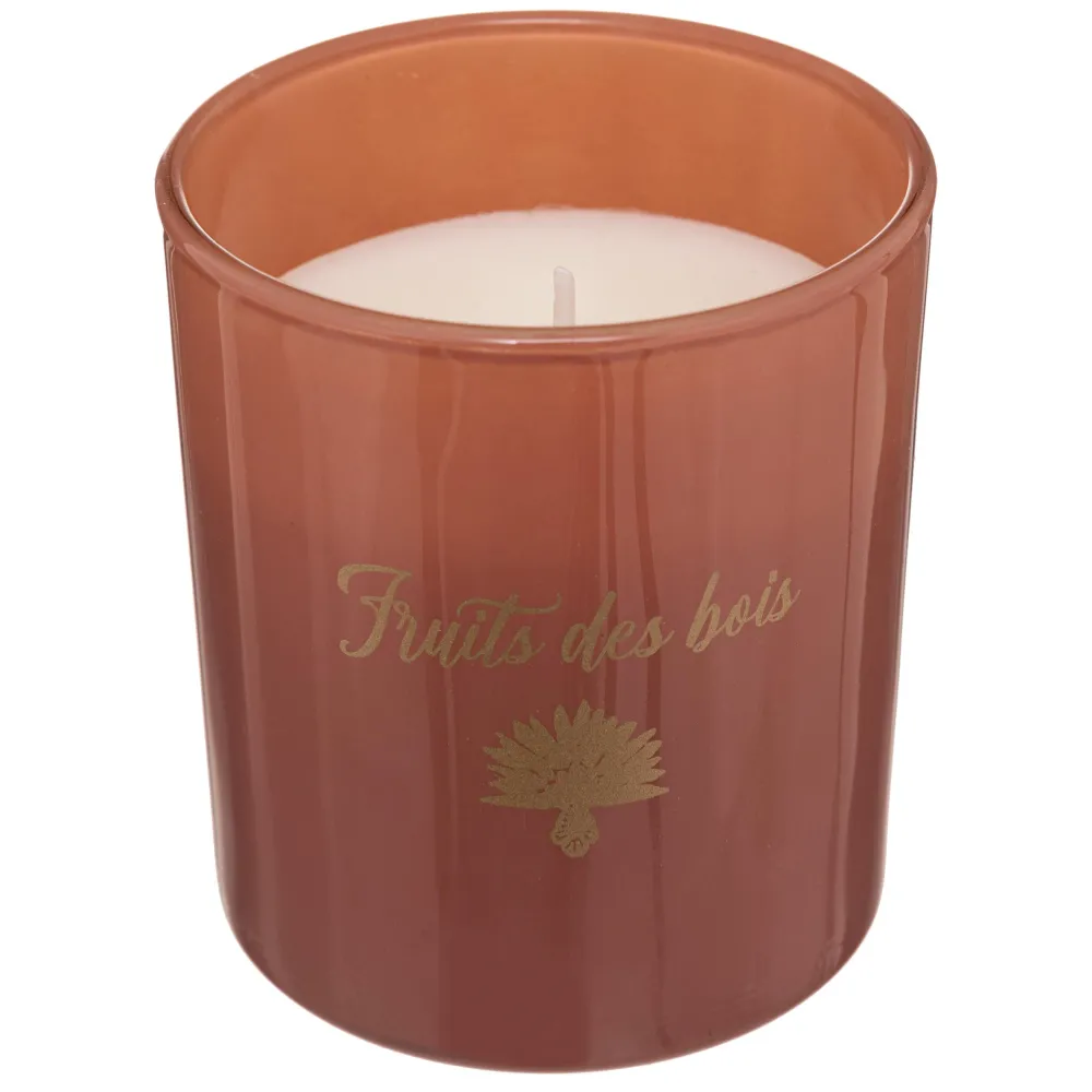 maxibazar Bougie Parfumee Verre Boite Carmen 130G- Bougies, Senteurs Et Accessoires