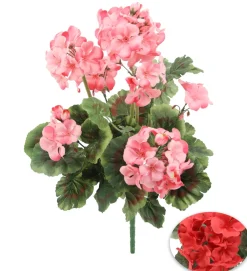 maxibazar Bouquet Geraniums H.47Cm- Bouquets