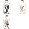 maxibazar Bouteille Verre Fleurs Sechees- Fleurs Et Plantes