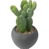 Atmosphera Cactus Pot Ciment Noir D.6.5Cm- Fleurs Et Plantes En Pot