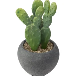 Atmosphera Cactus Pot Ciment Noir D.6.5Cm- Fleurs Et Plantes En Pot