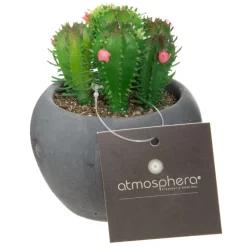 Atmosphera Cactus Pot Ciment Noir D.6.5Cm- Fleurs Et Plantes En Pot