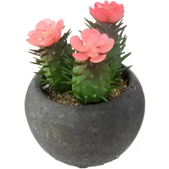 Atmosphera Cactus Pot Ciment Noir D.6.5Cm- Fleurs Et Plantes En Pot