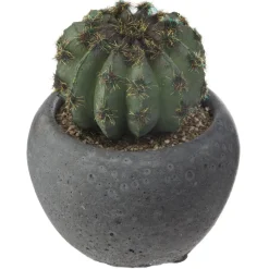 Atmosphera Cactus Pot Ciment Noir D.6.5Cm- Fleurs Et Plantes En Pot