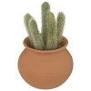 maxibazar Cactus Pot Terracotta H.16.5Cm- Fleurs Et Plantes