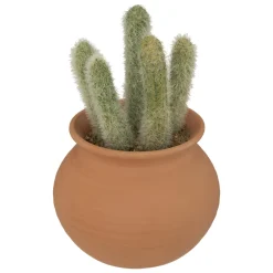 maxibazar Cactus Pot Terracotta H.16.5Cm- Fleurs Et Plantes