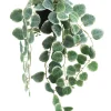 maxibazar Ceropegia Retombant Pot Plastique H.63Cm- Fleurs Et Plantes En Pot