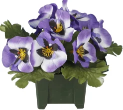 maxibazar Columbarium Pot Pensees- Fleurs Et Plantes En Pot