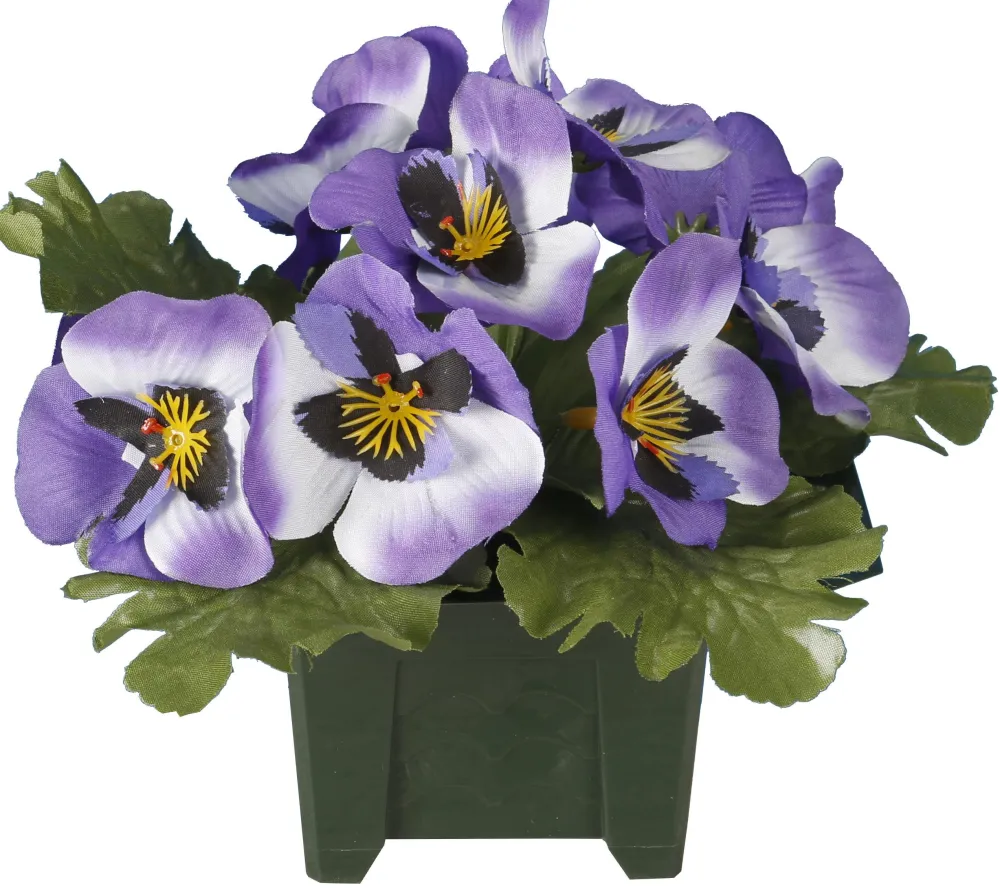 maxibazar Columbarium Pot Pensees- Fleurs Et Plantes En Pot