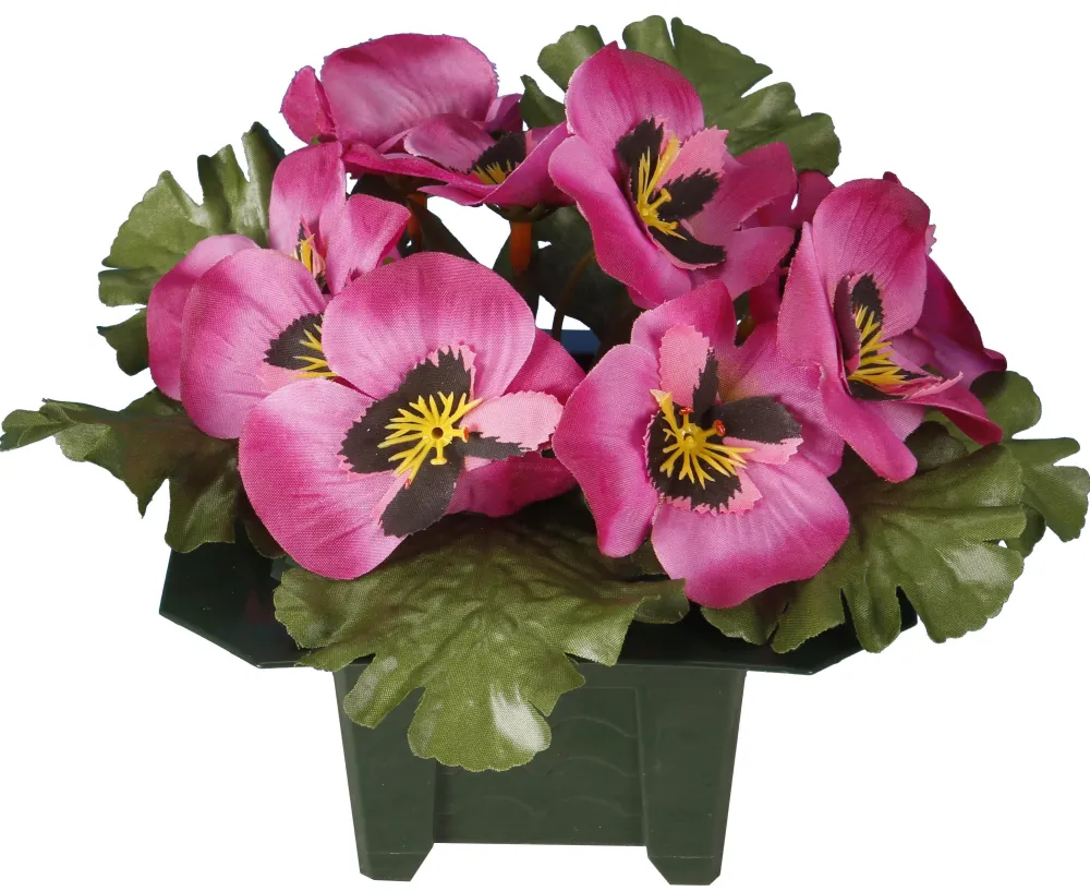 maxibazar Columbarium Pot Pensees- Fleurs Et Plantes En Pot