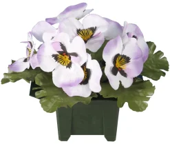 maxibazar Columbarium Pot Pensees- Fleurs Et Plantes En Pot