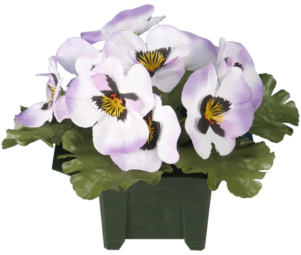 maxibazar Columbarium Pot Pensees- Fleurs Et Plantes En Pot