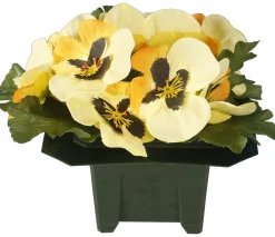 maxibazar Columbarium Pot Pensees- Fleurs Et Plantes En Pot