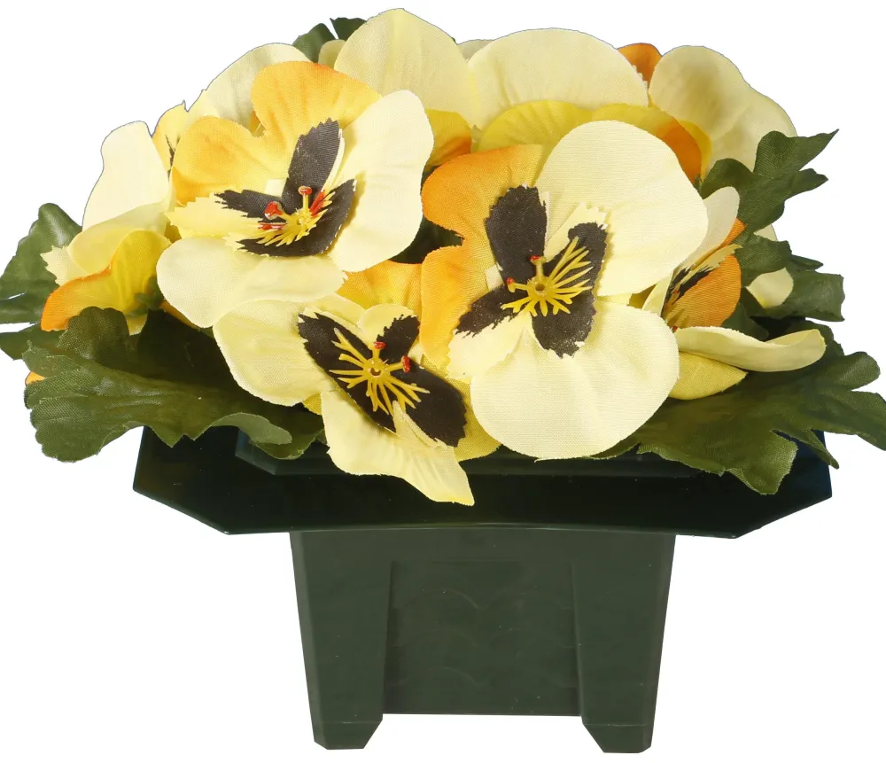 maxibazar Columbarium Pot Pensees- Fleurs Et Plantes En Pot