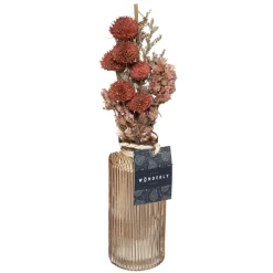 maxibazar Composiiton Fleur Sechee Vase Verre Wonder- Fleurs Et Plantes