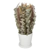 maxibazar Composition Fleurs Sechees Pot Ceramique- Fleurs Et Plantes