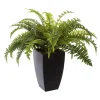 Atmosphera Fougere Pot Plastique H.55Cm- Fleurs Et Plantes En Pot