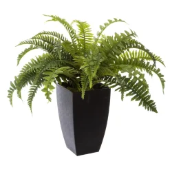 Atmosphera Fougere Pot Plastique H.55Cm- Fleurs Et Plantes En Pot