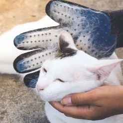 Bazar Malin|* Gant Magique Anti Poils Animaux