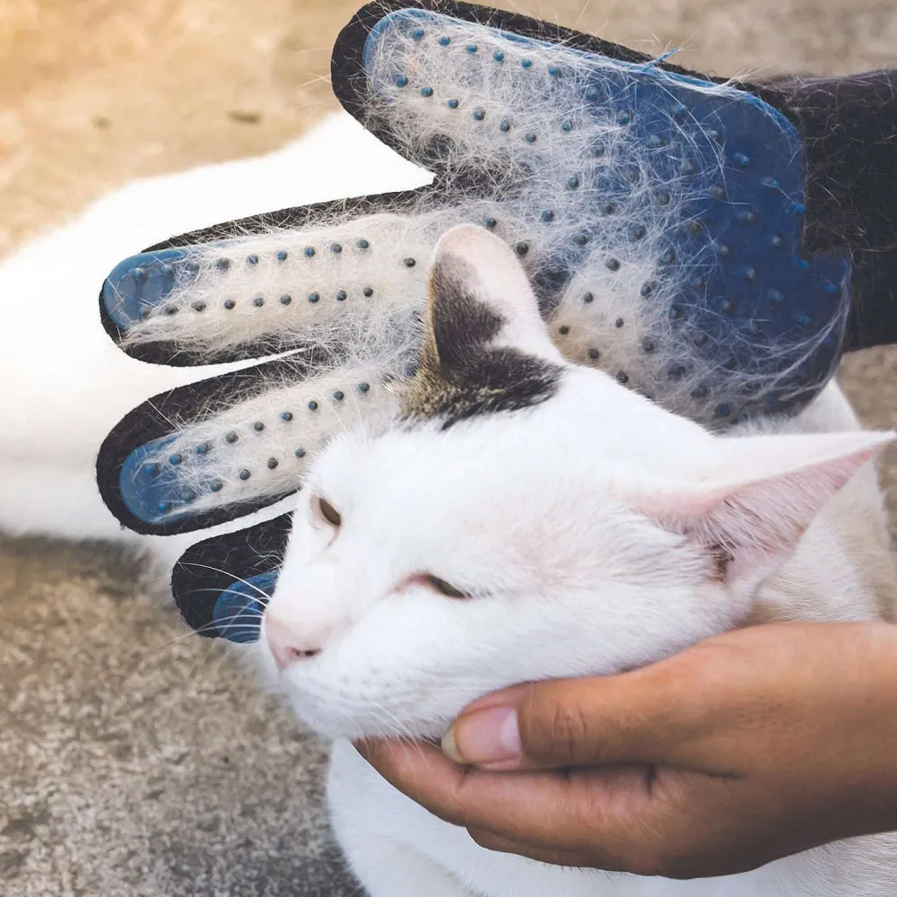 Bazar Malin|* Gant Magique Anti Poils Animaux