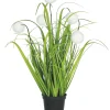 maxibazar Graminees 5 Pompons Blancs Pot H.40Cm- Fleurs Et Plantes En Pot