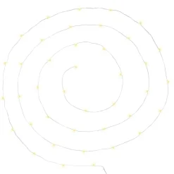 Atmosphera Guirlande 40 Microled Chrome Blanc Chaud- Lampes Led