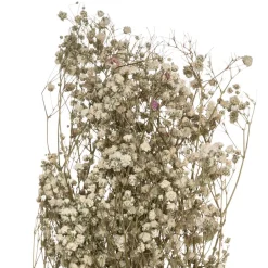 Atmosphera Gypsophile Naturel Seche H.58Cm- Fleurs Et Plantes