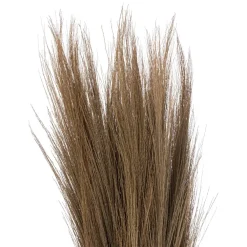 maxibazar Herbes Sechees Origines H.110Cm- Fleurs Et Plantes