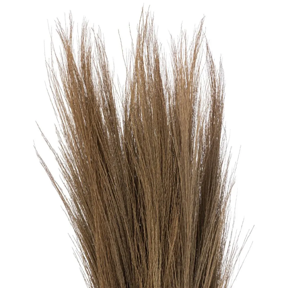 maxibazar Herbes Sechees Origines H.110Cm- Fleurs Et Plantes