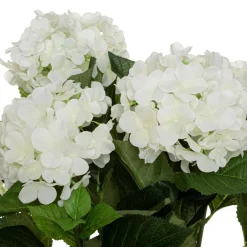 Atmosphera Hortensia H.60Cm- Fleurs Et Plantes En Pot