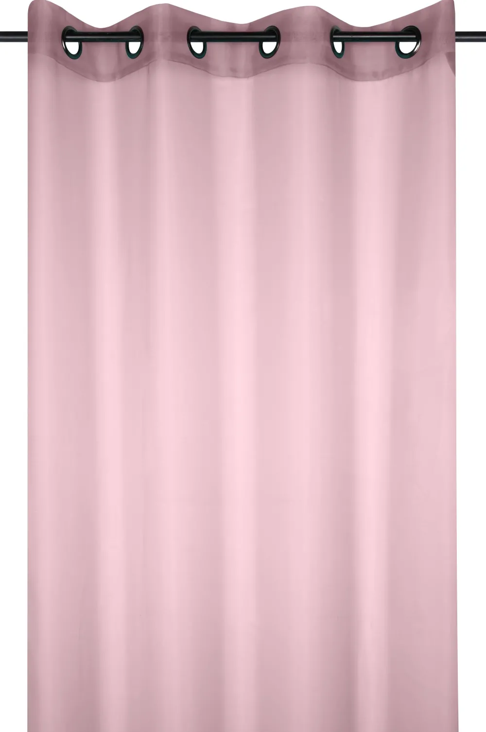 maxibazar Lisa Voile 135X260Cm Poudre- Voilages