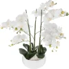 Atmosphera Orchidee Pot Ceramique Blanc H.65Cm- Fleurs Et Plantes En Pot