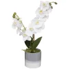 maxibazar Orchidee Pot Ceramique Reactive H.45Cm- Fleurs Et Plantes En Pot