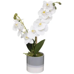 maxibazar Orchidee Pot Ceramique Reactive H.45Cm- Fleurs Et Plantes En Pot