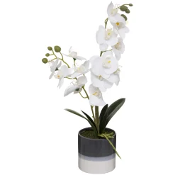 maxibazar Orchidee Pot Ceramique Reactive H.45Cm- Fleurs Et Plantes En Pot