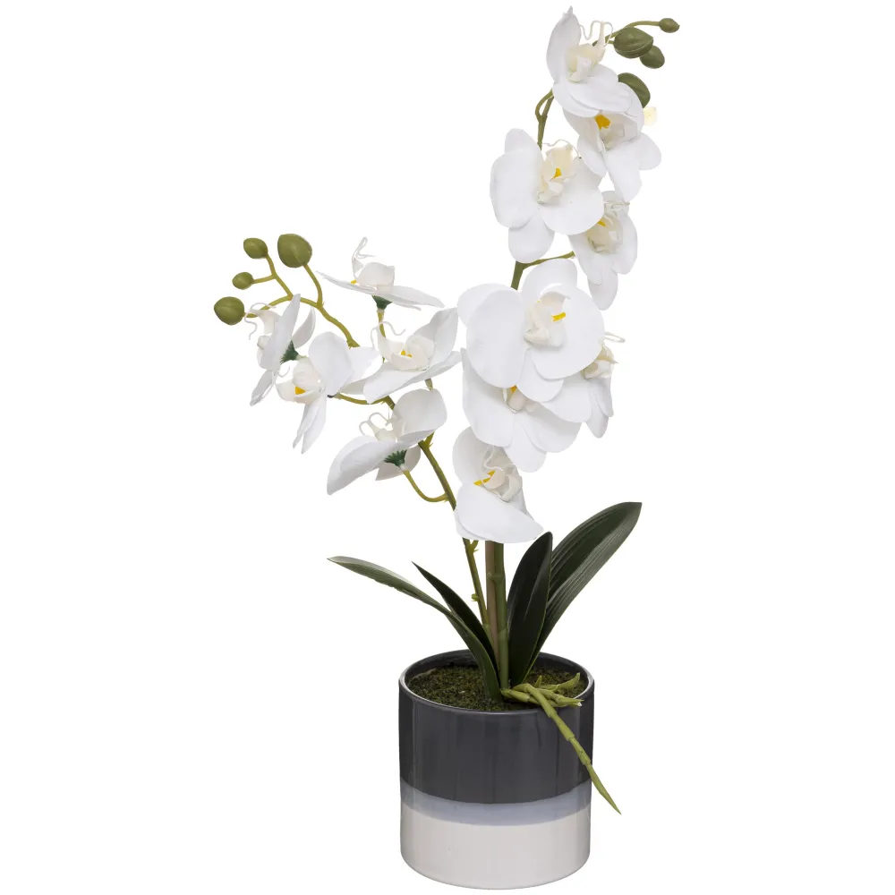 maxibazar Orchidee Pot Ceramique Reactive H.45Cm- Fleurs Et Plantes En Pot