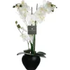 Atmosphera Orchidee Vase Ceramique Noir H.53Cm- Fleurs Et Plantes En Pot