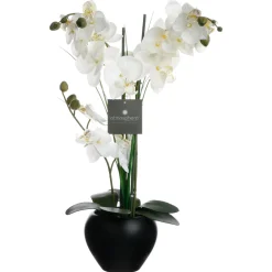 Atmosphera Orchidee Vase Ceramique Noir H.53Cm- Fleurs Et Plantes En Pot