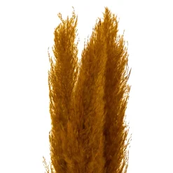 Atmosphera Pampa Naturel Ocre X3 Pieces H.110Cm- Tiges