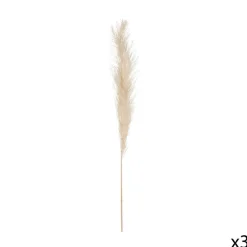 Atmosphera Pampa Naturel X3 Pieces H.110Cm- Fleurs Et Plantes